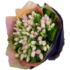 50pcs Mixed Colored Holland Tulips Bouquet (Standard)