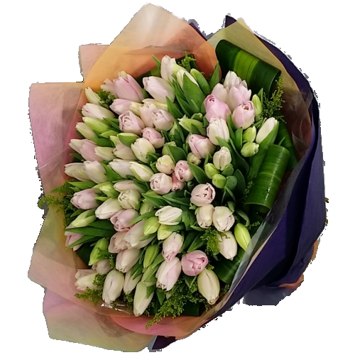 50pcs Mixed Colored Holland Tulips Bouquet (Standard)