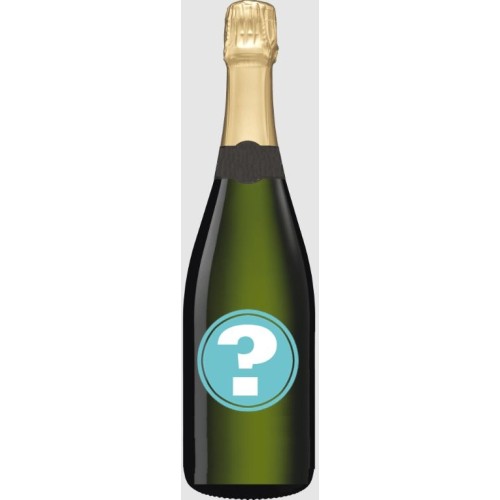 Multi award winning Champagne!
