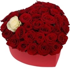 Queen Of Hearts