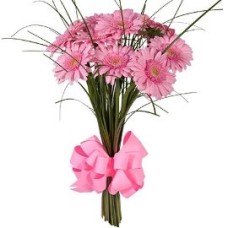 Jane Bouquet (11 Gerberas)