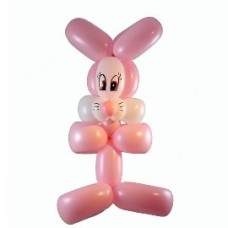 Pretty Bunny