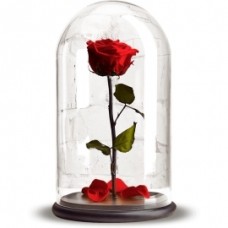 Eternal Red Rose
