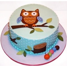 Funny Owl Cake (15 persons / diameter 18 x 28 cm)