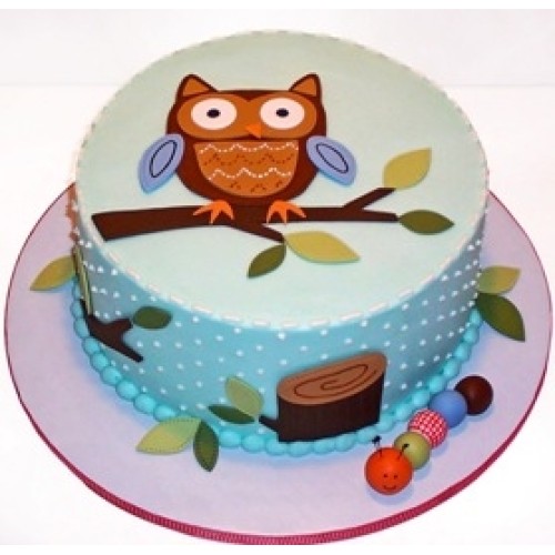 Funny Owl Cake (15 persons / diameter 18 x 28 cm)