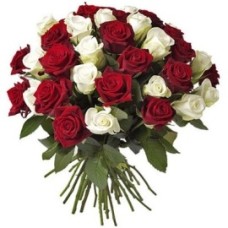 Fantasy Of Red And White Colors (55 Roses)