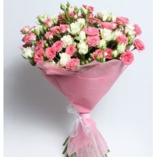 Colours Splendour (25 Stems)