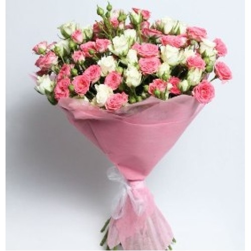 Colours Splendour (25 Stems)