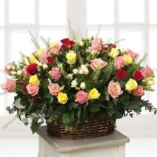 Basket Of Dreams