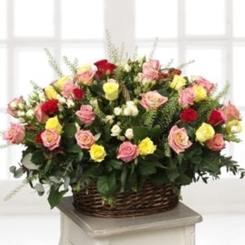 Basket Of Dreams