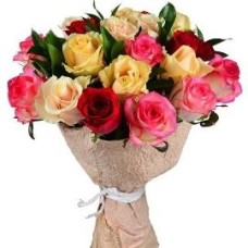 Magic Of Roses