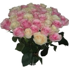 25 Pink And White Roses (25 Roses)