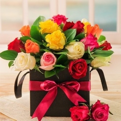 Colour Splash on 25 Roses