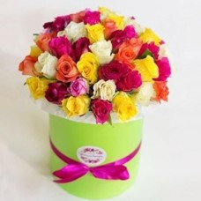 Firework Of Finest Roses