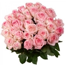 Alluring Bouquet (35 Roses)