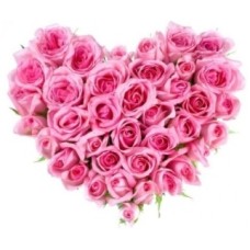 Glorious Pink (35 Roses)