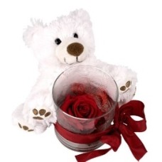Teddy & Red Rose