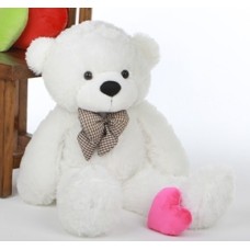Teddy In Love
