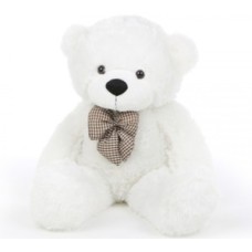 White Teddy (Big - 55 cm)