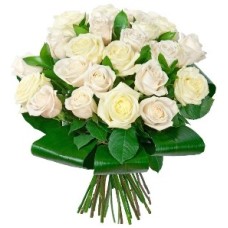 Elegant Rush (31 Roses)