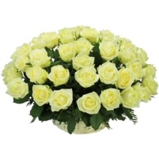 Basket In White (55 Roses)