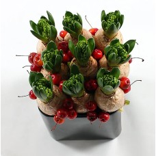 Hyacinth dice