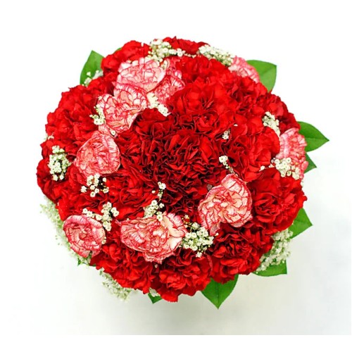 A classic bouquet of carnations (In This Picture)