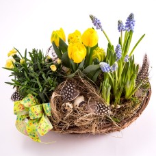 Easter Planting
