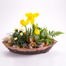 Easter Planting