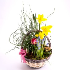Easter Planting