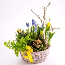 Easter Planting