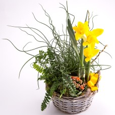 Easter Planting