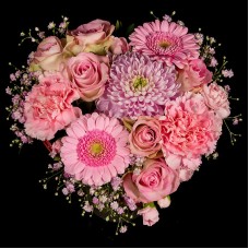 Pink heart