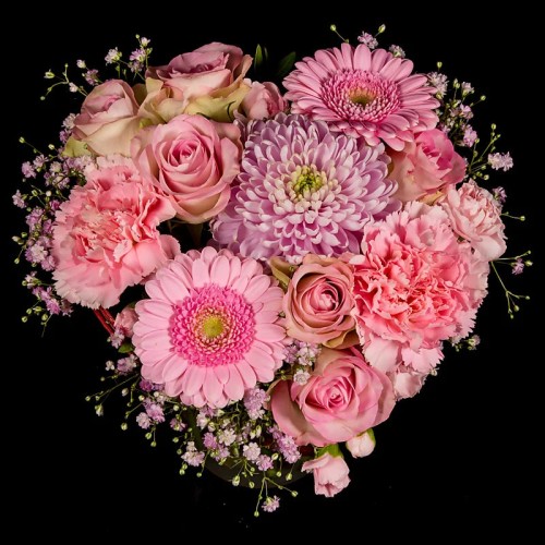 Pink heart