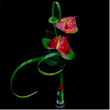 VALENTINE'S DAY BOUQUET IN A VASE