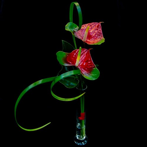 VALENTINE'S DAY BOUQUET IN A VASE