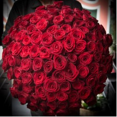 101 Roses (Medium-Size roses)