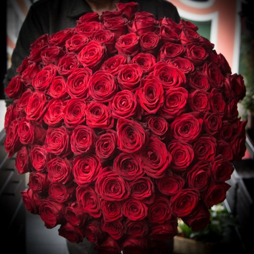 101 Roses (Medium-Size roses)