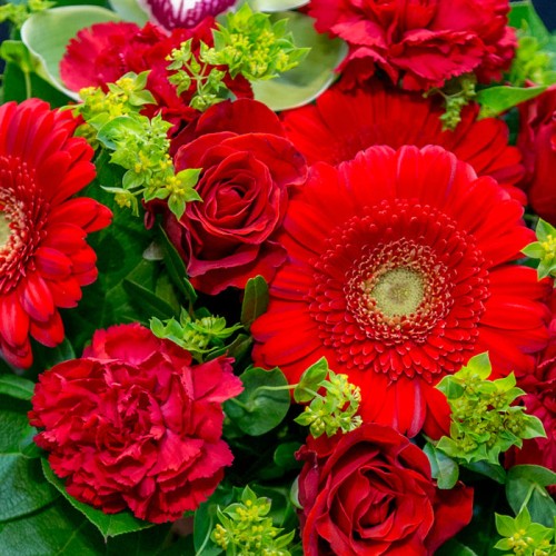 A florist (Medium Size)