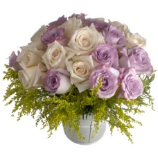 24 Color roses in bucket