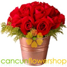 24 Red roses in bucket