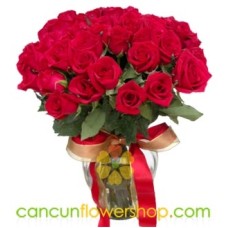 48 Red roses in vase