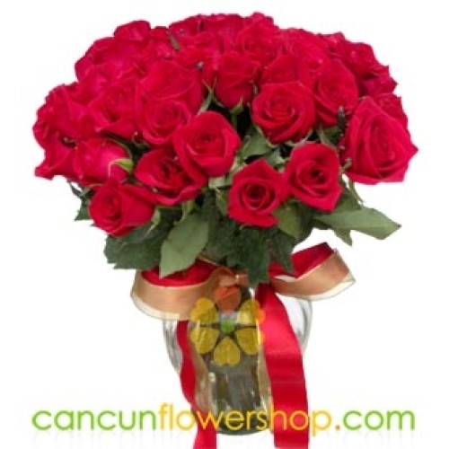 48 Red roses in vase