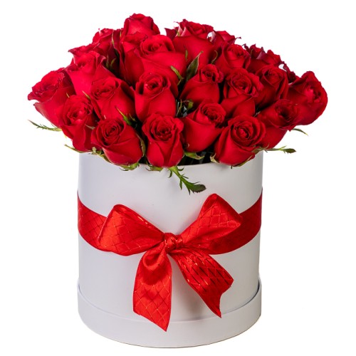 Red roses in tall white round box
