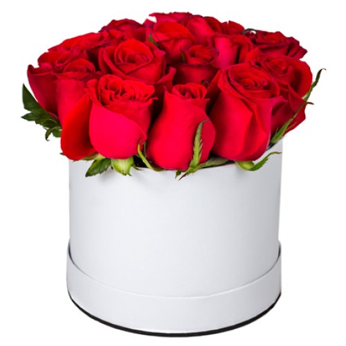 Roses in small round box