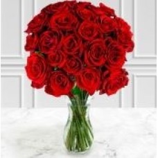 Two Dozen Red Roses