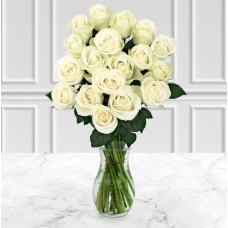 18 White Roses