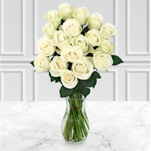 18 White Roses