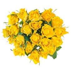 Lucky Yellow