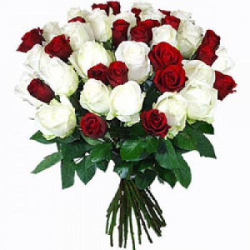 24 Red And White Roses